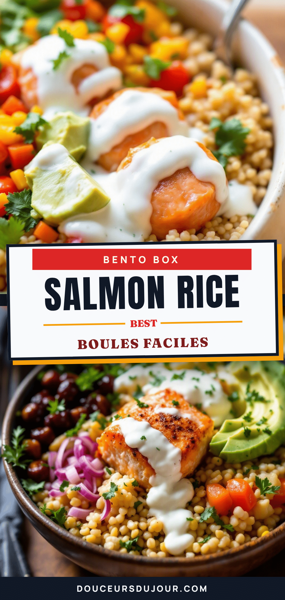 boulettes de riz au saumon pour lunch préscolaire recipe