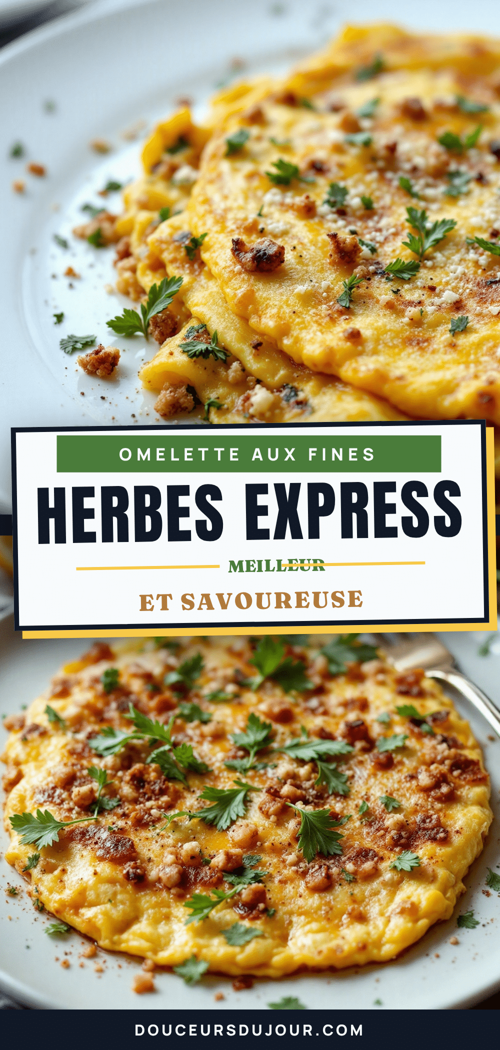 omelette aux fines herbes express recipe