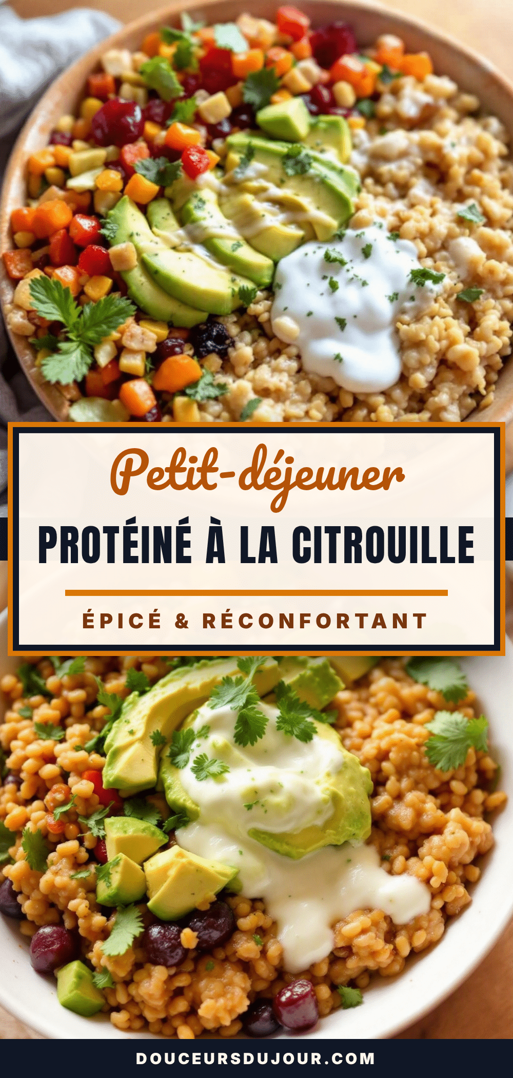recette facile de flocons davoine protéinés à la citrouille recipe