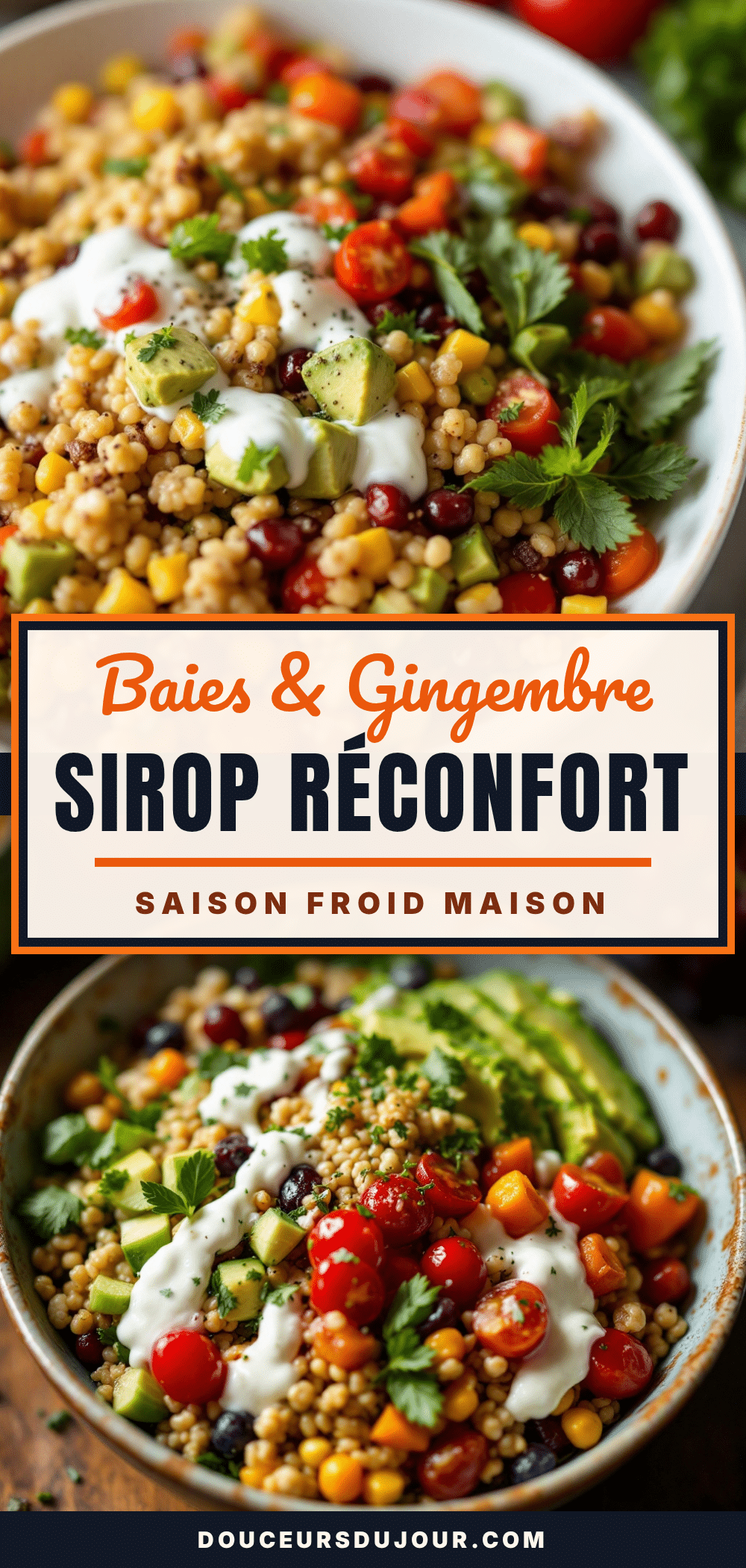 sirop réconfortant aux baies de sureau et gingembre recipe