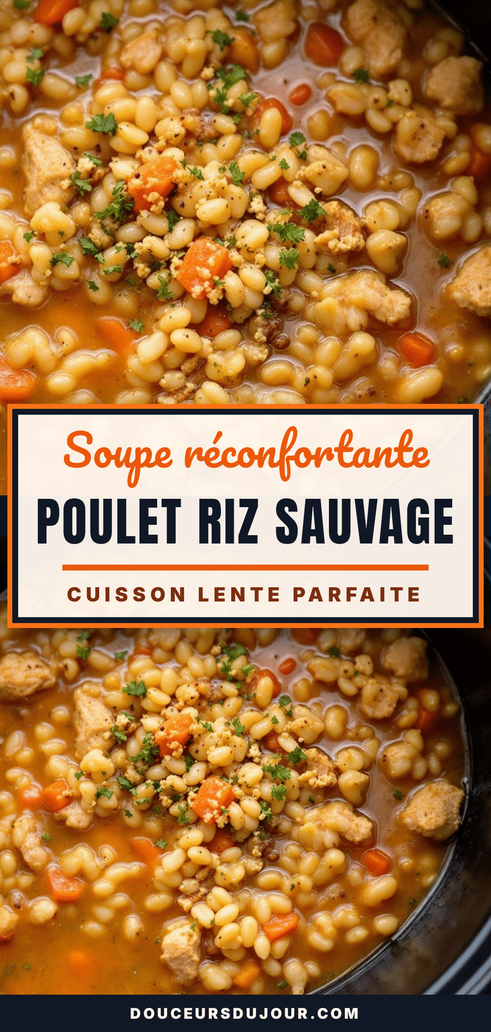Soupe réconfortante au poulet et riz sauvage à la mijoteuse recipe