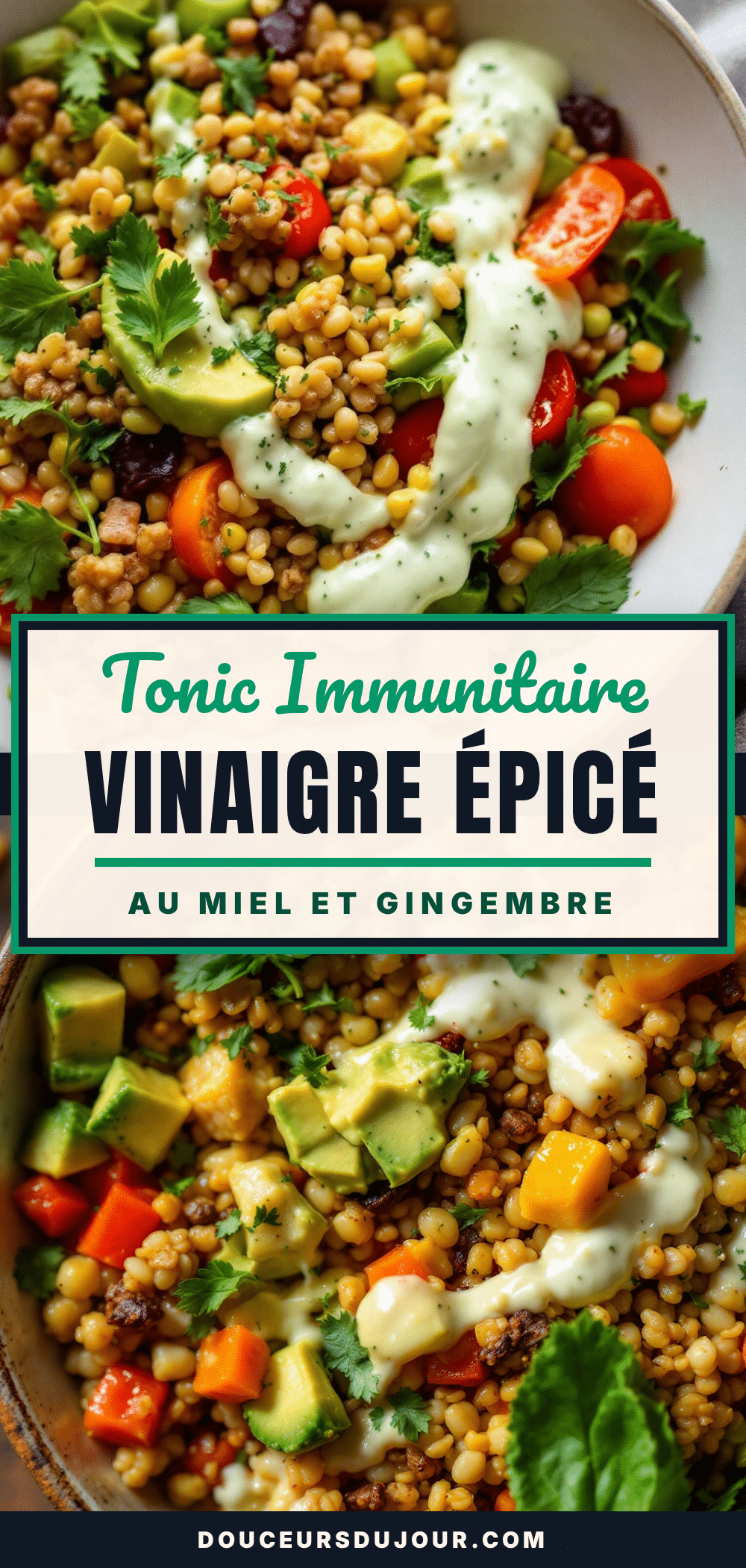tonic immunitaire au vinaigre épicé recipe