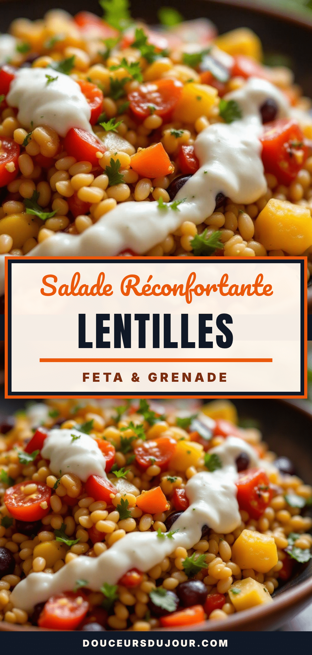 salade lentilles feta grenade recipe