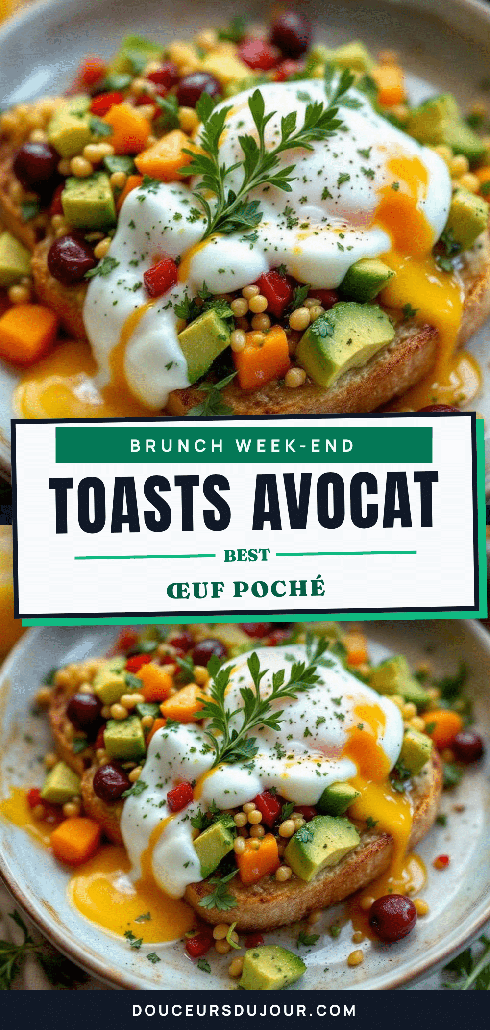 Toasts Avocat-Oeuf Poche recipe